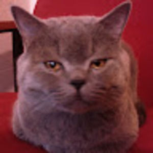 Meet your Posher, Natalia